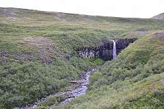 560: DSC_4601