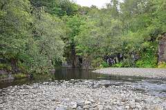 571: DSC_4614