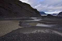 576: DSC_4619