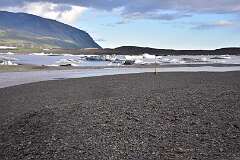 577: DSC_4621