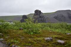 627: DSC_4682