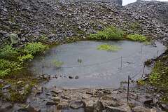 630: DSC_4685