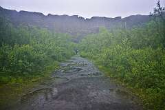 637: DSC_4696
