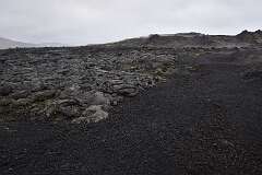 661: DSC_4731