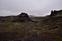 668: DSC_4739
