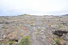 671: DSC_4743