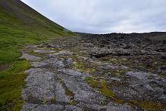 673: DSC_4747