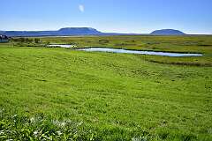 695: DSC_4789