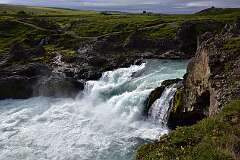 774: DSC_4899