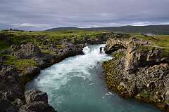 776: DSC_4901