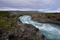 782: DSC_4907