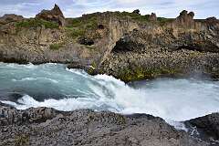 785: DSC_4910