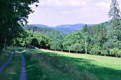 13: DSC_0016