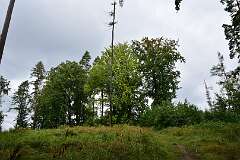 10: DSC_5020