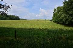 15: DSC_5029