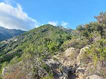 84: 20220913_102845