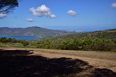 61: DSC_5186