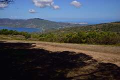 62: DSC_5187