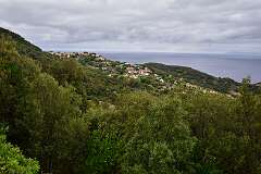 110: DSC_5225