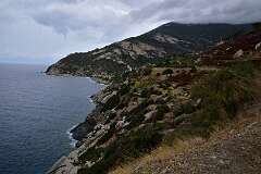 113: DSC_5229