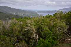 122: DSC_5243