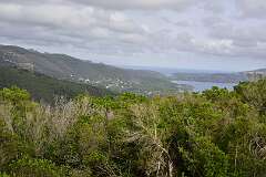 123: DSC_5244
