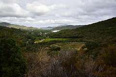 126: DSC_5247