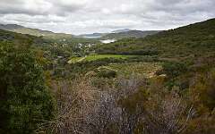 128: DSC_5249