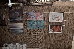 153: DSC_5274