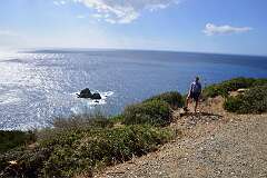 230: DSC_5377
