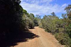 236: DSC_5388