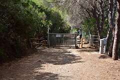 239: DSC_5396