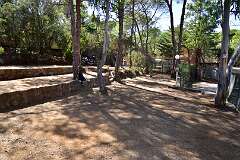 241: DSC_5398
