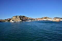 242: DSC_5399