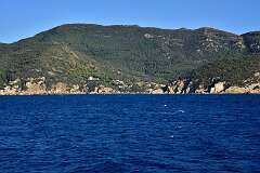 245: DSC_5403
