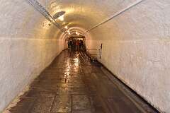 29: DSC_5461