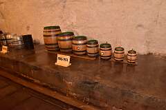 45: DSC_5484