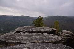 19: DSC_5538