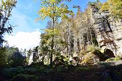 60: DSC_5596