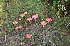 65: DSC_5605