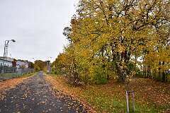 6: DSC_5638