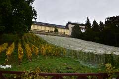 10: DSC_5644