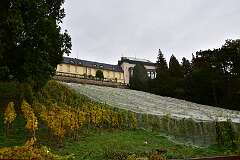 11: DSC_5645