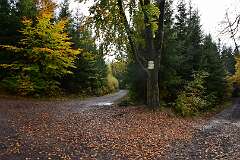 35: DSC_5682