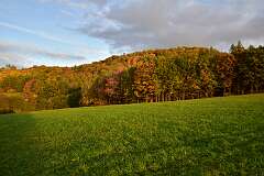 40: DSC_5691