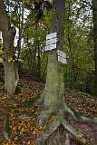 43: DSC_5696