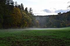 46: DSC_5701