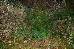 2022_10_21-23-HavlickuvBrod