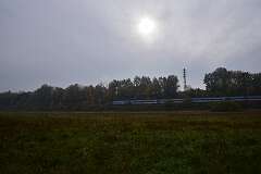 21: DSC_5739