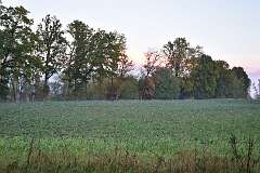 42: DSC_5771